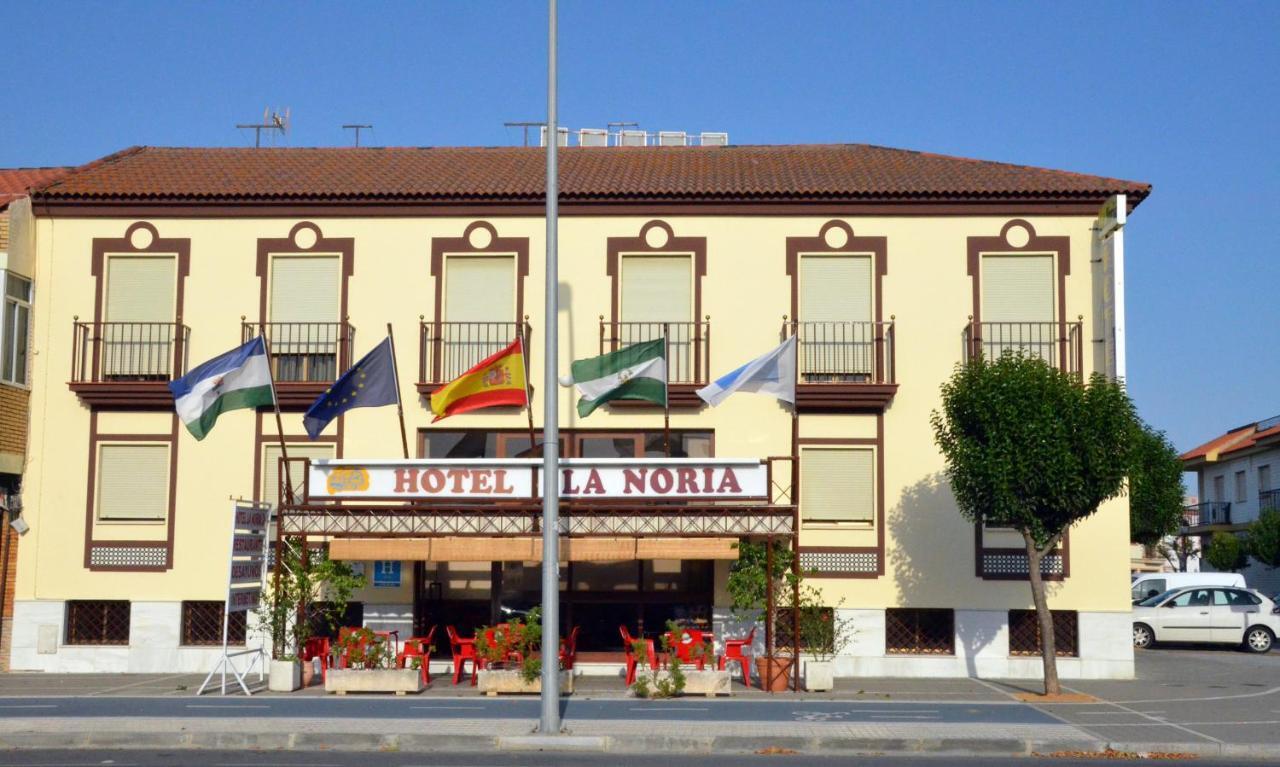 Hotel La Noria 레페 외부 사진